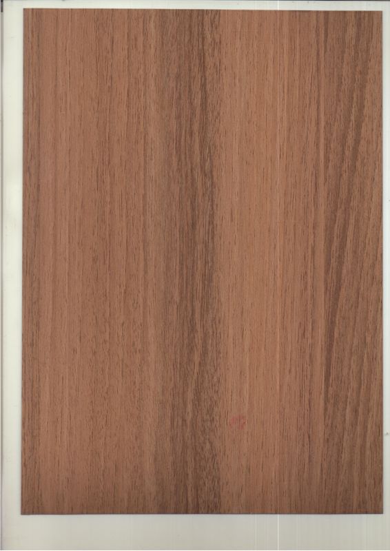 Rivestimento ricoprente infrangibile di colore del PE del centro ACP del rivestimento di legno della parete